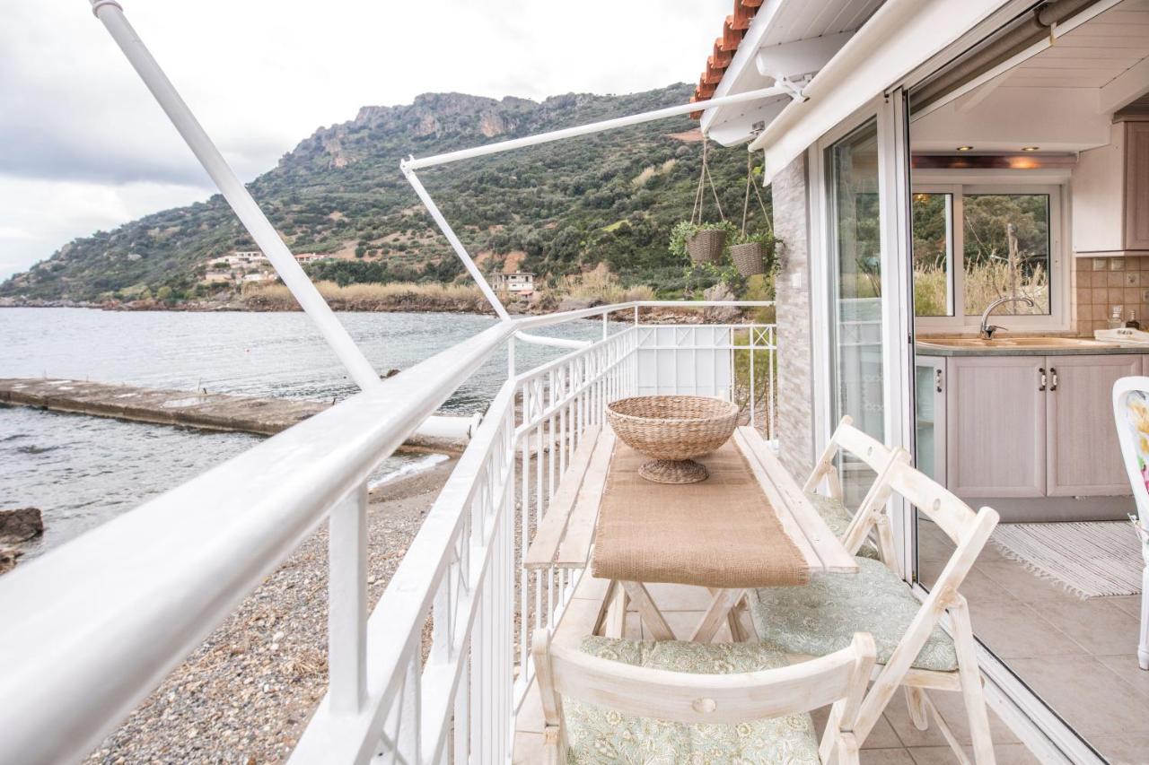 Dream House Efi